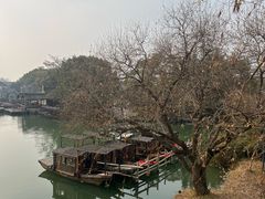 -乌镇景区