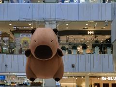 -凯德MALL(西直门店)