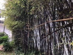 -张闻天故居