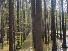 -采石矶景区