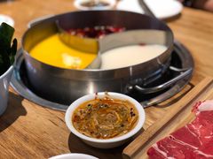 -青瓷火锅料理(西单大悦城店)