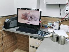 -爱侣宠医·鹦鹉专科·小型哺乳类·异宠专科(灵石路店)