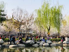 -西安青龙寺遗址景区