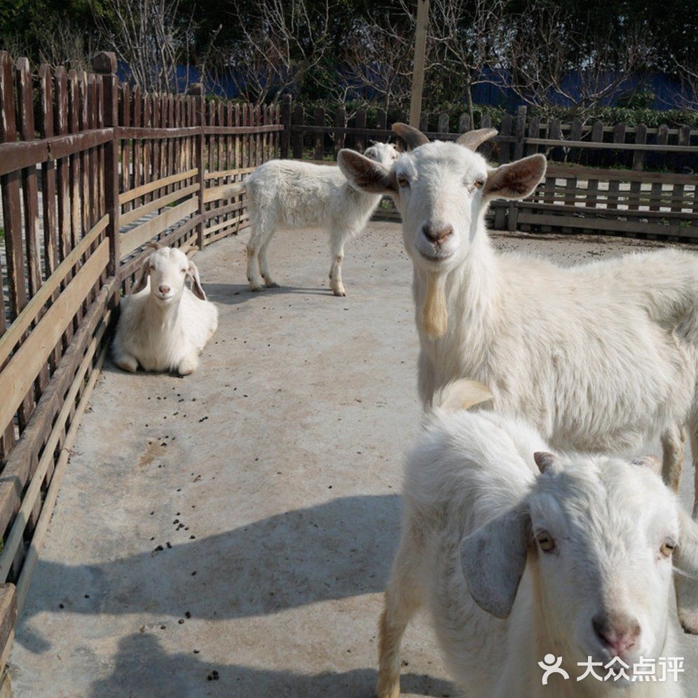 全家一起总动员[吐][吐][调皮]体验农场生活[胜利][胜利]