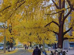 -四川大学(华西校区)