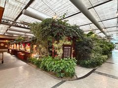 -春满园生态餐厅(南宫路店)