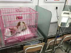 -畜牧兽医站(共江路店)