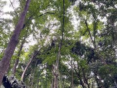 -北高峰