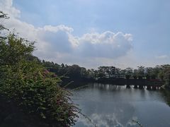 -王借岗森林公园