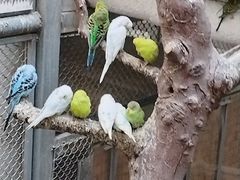 -正佳雨林生态植物园