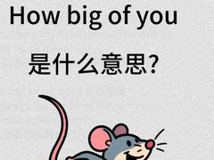 -磁课·成人英语·雅思培训(高新校区)
