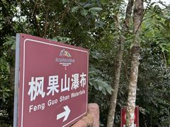 -海南热带雨林国家公园吊罗山景区
