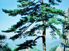 -明堂山风景区