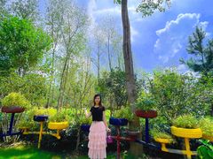 -合肥滨湖国家森林公园