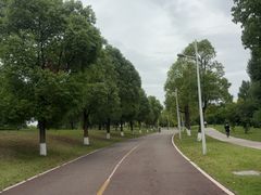 -白鹭湾湿地公园