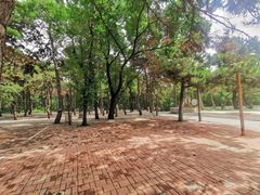 -长春市南湖公园