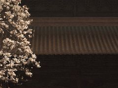 -厝内小眷村(长宁定西路店)