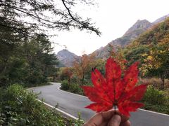 -大连天门山国家森林公园