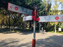 路牌-四川大学(望江校区)