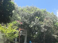 -西湖风景区十里琅珰-五云山