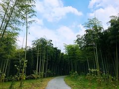 -天下银坑