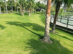 -映月湖公园
