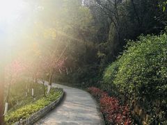 -重庆彩云湖湿地公园