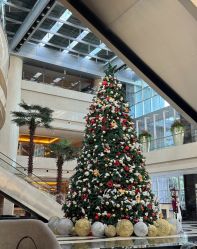 -广州白云机场铂尔曼大酒店·宴会厅·宴会预订中心