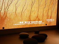 -中国湿地博物馆
