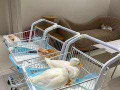 -怪兽屋·羊驼·猫咖·狗咖(俊华广场店)