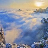 【博洋视线】 难忘黄山雪️ 云和雪都恋着这山峦