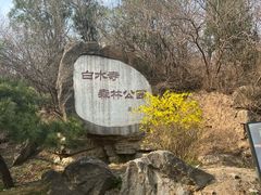 -白水寺森林公园