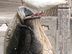 -天龙宝严素食馆(大兴善寺店)