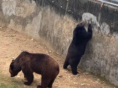 -无锡动物园·太湖欢乐园