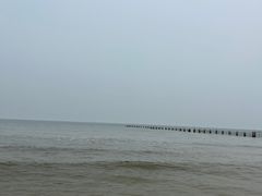 -日照海滨国家森林公园