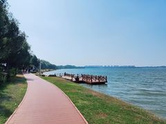 -丁香湖公园