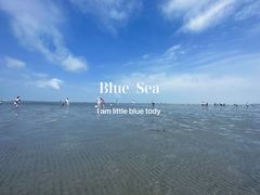 -南汇新城海滩