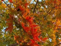 -永定河休闲森林公园