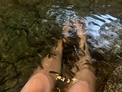 -明月山天沐温泉度假村