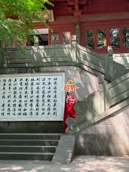 -青禾婚纱摄影(杭州店)