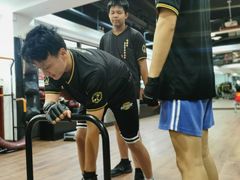 -温鉴良实用咏春拳