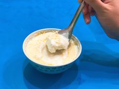 -德禄酸奶(莫家街店)