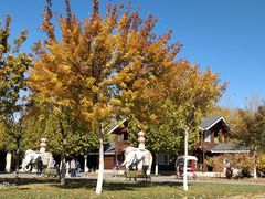 -永定河休闲森林公园