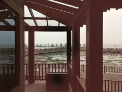 -新木器时代餐厅(太湖新天地店)