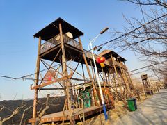 -呀路古热带植物园