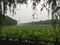 -南戴河国际娱乐中心