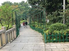-乌山风景区