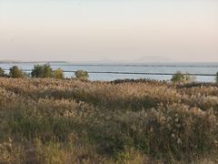 -合肥滨湖国家森林公园