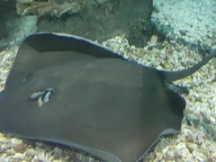 -福州罗源湾海洋世界旅游区