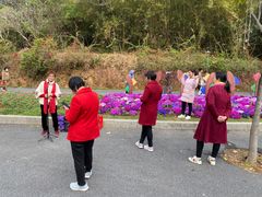 -星湖旅游景区七星岩